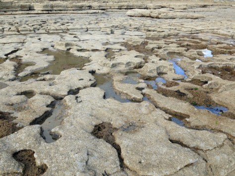 This looks like an alien planet