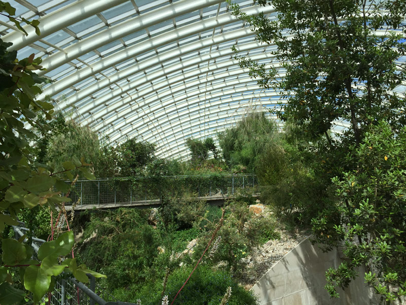 Inside the Biodome at the National Botanic Garden of Wales