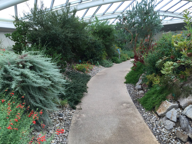 Inside the Biodome at the National Botanic Garden of Wales
