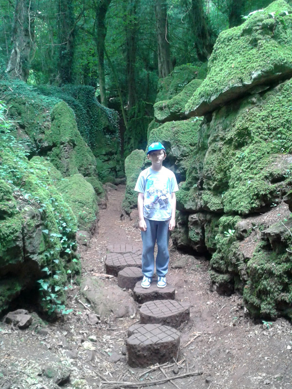 The dinosaur feet at Puzzlewood