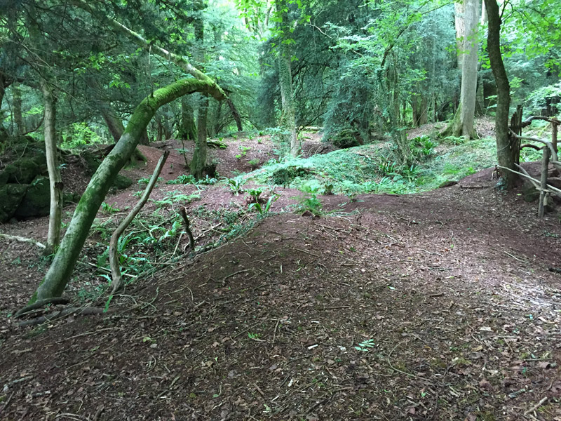 Aboard the Byzantium - Doctor Who filming location Puzzlewood