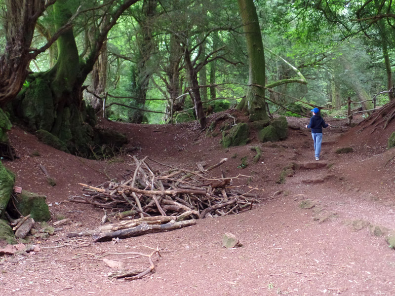 Aboard the Byzantium - Doctor Who filming location Puzzlewood