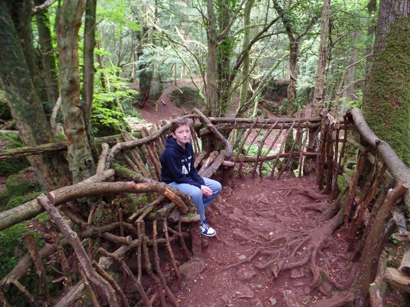 Tom rests on a rustic bench at Puzzlewood