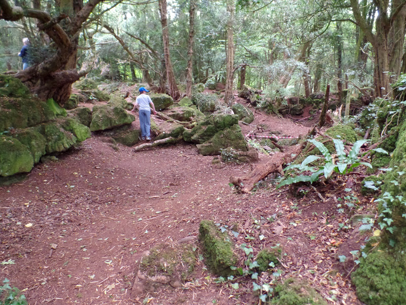 Star Wars Tarkodana filming location Puzzlewood