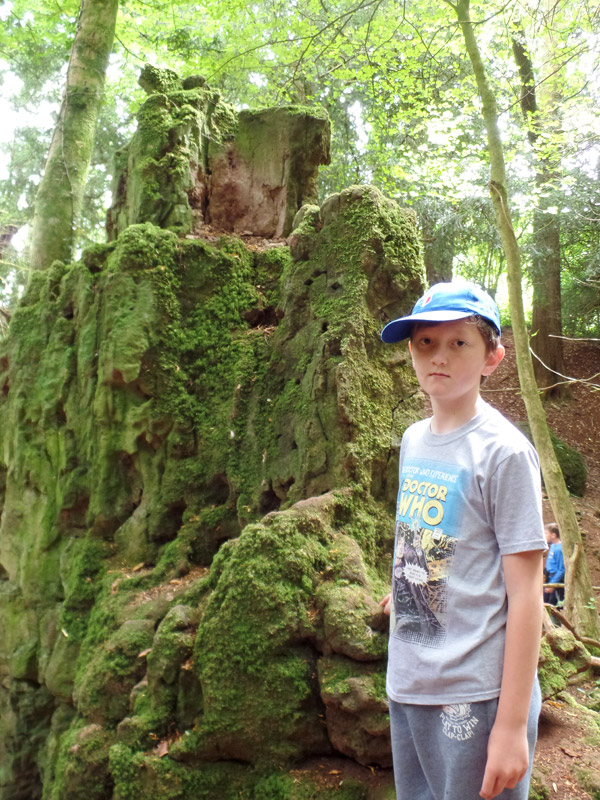 Tom looks at the moss at Puzzlewood