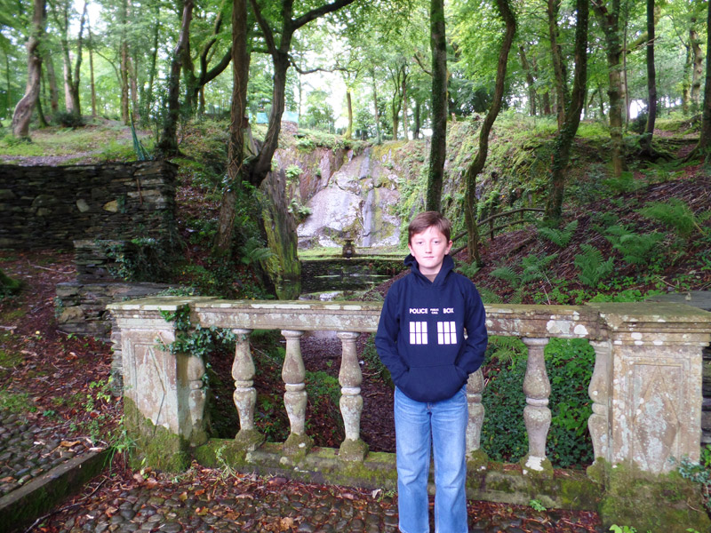 A magical forest at Plas Brondanw